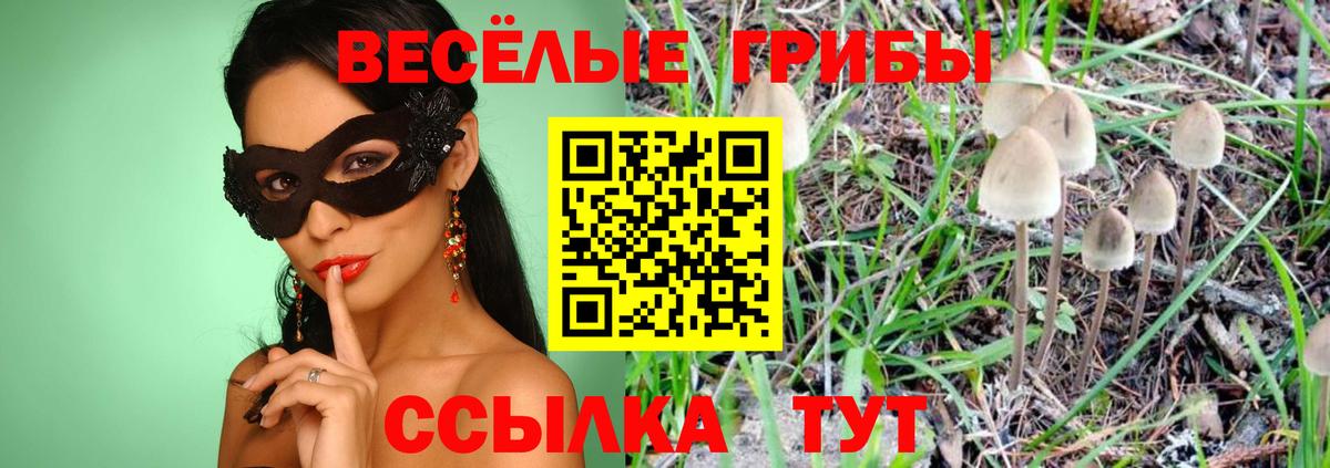 Псилоцибиновые грибы прущие грибы  Вход с VPN  Псилоцибиновые грибы Cubensis  Щёлково 